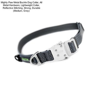 Mighty Paw Metal Buckle Dog Collar, All Metal Hardware, Lightweight Collar, Reflective Stitching, Strong, Durable (Medium, Grey)