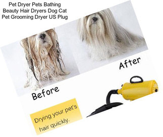 Pet Dryer Pets Bathing Beauty Hair Dryers Dog Cat Pet Grooming Dryer US Plug