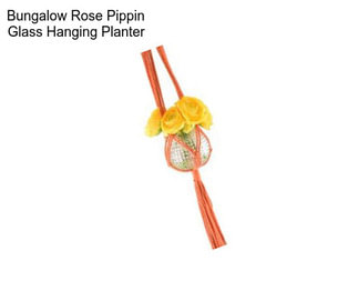 Bungalow Rose Pippin Glass Hanging Planter