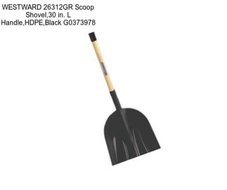 WESTWARD 26312GR Scoop Shovel,30 in. L Handle,HDPE,Black G0373978