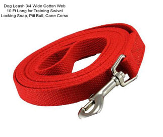 Dog Leash 3/4\