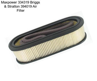 Maxpower 334319 Briggs & Stratton 394019 Air Filter
