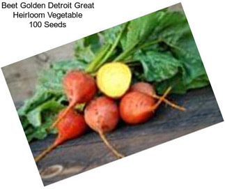 Beet Golden Detroit Great Heirloom Vegetable 100 Seeds