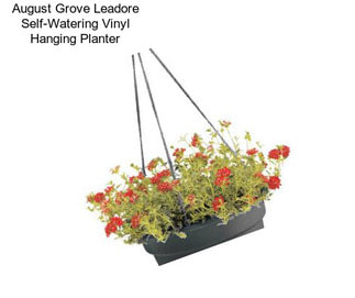 August Grove Leadore Self-Watering Vinyl Hanging Planter