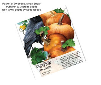 Packet of 50 Seeds, Small Sugar Pumpkin (Cucurbita pepo) Non-GMO Seeds by Seed Needs