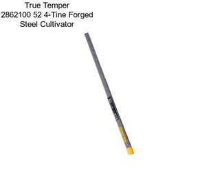True Temper 2862100 52\