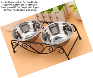 Lv. life Stainless Steel Cat Dog Double Puppy Pet Water Food Feeder Dish Bowls Stand US,Cat Dog Double Puppy Pet Water Food Feeder Dish Bowls