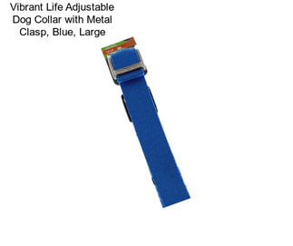 Vibrant Life Adjustable Dog Collar with Metal Clasp, Blue, Large