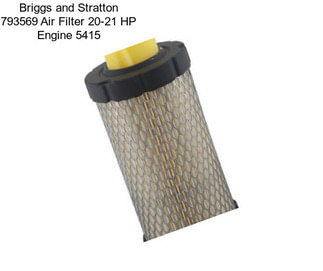 Briggs and Stratton 793569 Air Filter 20-21 HP Engine 5415