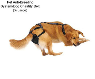 Pet Anti-Breeding System/Dog Chastity Belt (X-Large)