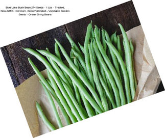 Blue Lake Bush Bean 274 Seeds - 1 Lbs - Treated, Non-GMO, Heirloom, Open Pollinated - Vegetable Garden Seeds - Green String Beans