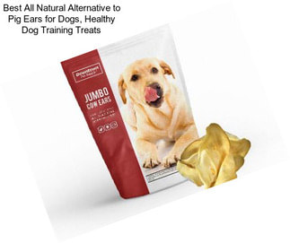 Best All Natural Alternative to Pig Ears for Dogs, Healthy Dog Training Treats