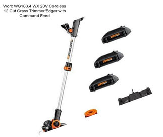 Worx WG163.4 WX 20V Cordless 12\