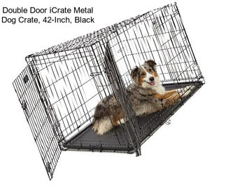 Double Door iCrate Metal Dog Crate, 42-Inch, Black