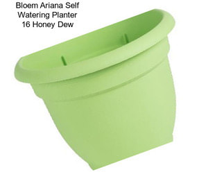 Bloem Ariana Self Watering Planter 16\