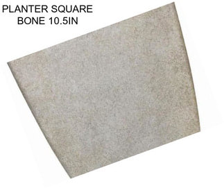 PLANTER SQUARE BONE 10.5IN