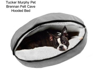 Tucker Murphy Pet Brennan Felt Cave Hooded Bed