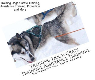 Training Dogs : Crate Training, Assistance Training, Protection and More