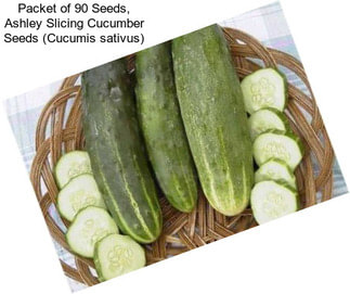 Packet of 90 Seeds, Ashley Slicing Cucumber Seeds (Cucumis sativus)