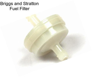 Briggs and Stratton Fuel Filter