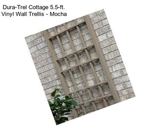Dura-Trel Cottage 5.5-ft. Vinyl Wall Trellis - Mocha