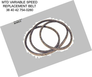 MTD VARIABLE SPEED REPLACEMENT BELT 38\