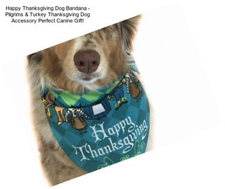 Happy Thanksgiving Dog Bandana - Pilgrims & Turkey Thanksgiving Dog Accessory Perfect Canine Gift!