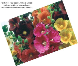 Packet of 100 Seeds, Single Mixed Hollyhock (Alcea rosea) Open Pollinated Seeds By Seed Needs