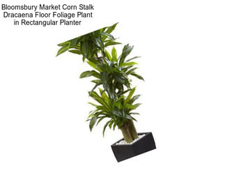 Bloomsbury Market Corn Stalk Dracaena Floor Foliage Plant in Rectangular Planter