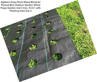 Agfabric Easy-Plant Weed Block for Raised Bed Outdoor Garden Weed Rugs Garden mat 3.0oz, 3\'x12\' ,with Planting Hole Dia 3\