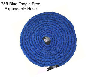 75ft Blue Tangle Free Expandable Hose