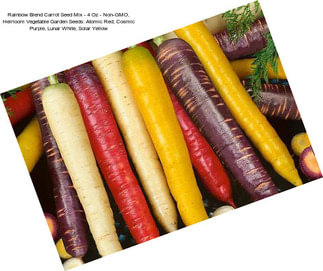 Rainbow Blend Carrot Seed Mix - 4 Oz - Non-GMO, Heirloom Vegetable Garden Seeds: Atomic Red, Cosmic Purple, Lunar White, Solar Yellow