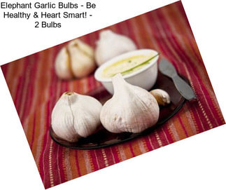 Elephant Garlic Bulbs - Be Healthy & Heart Smart! - 2 Bulbs