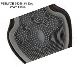 PETMATE 65056 3/1 Dog Groom Glove