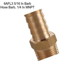 6AFL3 5/16 In Barb Hose Barb, 1/4 In MNPT