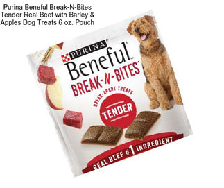 Purina Beneful Break-N-Bites Tender Real Beef with Barley & Apples Dog Treats 6 oz. Pouch