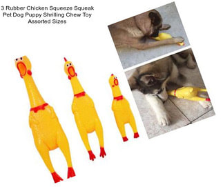 3 Rubber Chicken Squeeze Squeak Pet Dog Puppy Shrilling Chew Toy Assorted Sizes