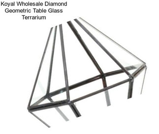 Koyal Wholesale Diamond Geometric Table Glass Terrarium
