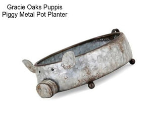 Gracie Oaks Puppis Piggy Metal Pot Planter