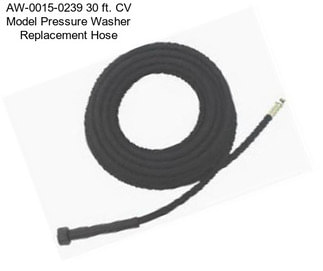AW-0015-0239 30 ft. CV Model Pressure Washer Replacement Hose
