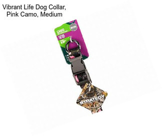 Vibrant Life Dog Collar, Pink Camo, Medium