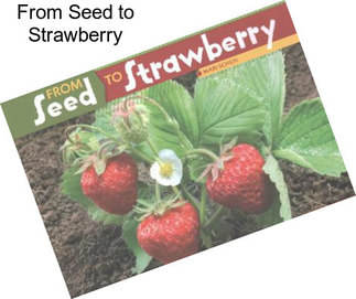 From Seed to Strawberry