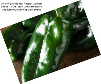 Ancho Grande Hot Pepper Garden Seeds - 1 Oz - Non-GMO, Heirloom Vegetable Gardening Chili Seeds