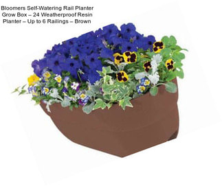 Bloomers Self-Watering Rail Planter Grow Box – 24\