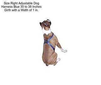 Size Right Adjustable Dog Harness Blue 30 to 38 Inches Girth with a Width of 1 in.