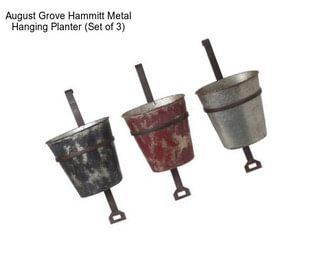 August Grove Hammitt Metal Hanging Planter (Set of 3)