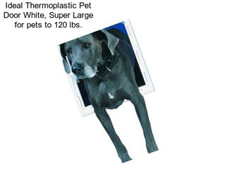 Ideal Thermoplastic Pet Door White, Super Large for pets to 120 lbs.
