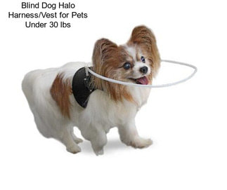 Blind Dog Halo Harness/Vest for Pets Under 30 lbs