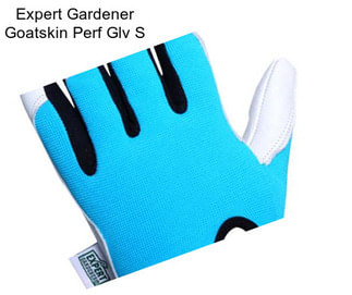 Expert Gardener Goatskin Perf Glv S