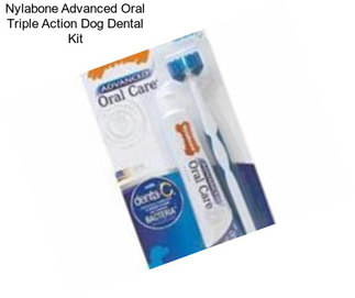 Nylabone Advanced Oral Triple Action Dog Dental Kit